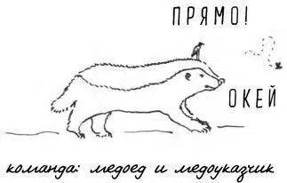 Акулыотлично сотрудничают с губанамичистильщиками которые очищают их кожу - фото 14