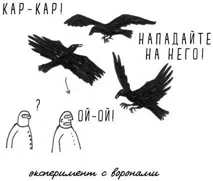 Если вороны когданибудь захватят власть они наверняка припомнят нам всякие - фото 19