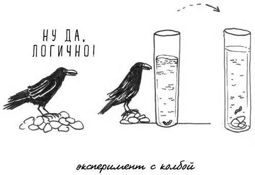 14 Ящерицы вовсе не тормоза Учёные привыкли считать холоднокровных животных - фото 20