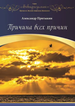 Александр Притыкин Причина всех причин обложка книги