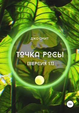 Джо Смит Точка росы. Версия 1.1 обложка книги