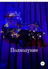 Владислав Станчевский - Полнолуние