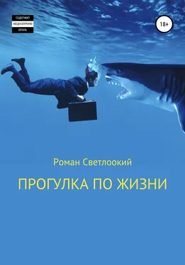 Роман Светлоокий Прогулка по жизни обложка книги