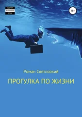 Роман Светлоокий - Прогулка по жизни