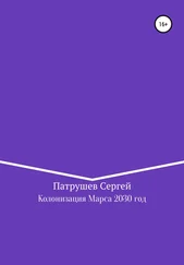 Сергей Патрушев - Колонизация Марса. 2030 год