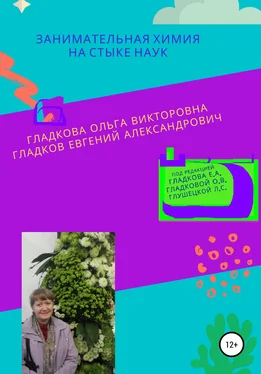 Евгений Гладков Занимательная химия на стыке наук обложка книги
