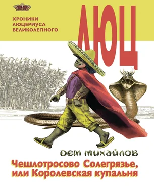 Дем Михайлов Чешлотросово Солегрязье, или Королевская купальня обложка книги