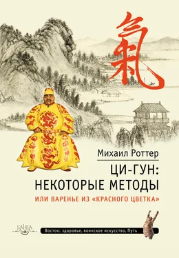 Михаил Роттер Ци-Гун: некоторые методы, или Варенье из «Красного цветка» обложка книги