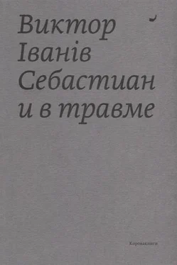 Виктор Iванiв Себастиан и в травме обложка книги