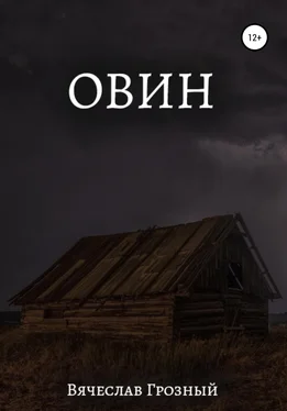 Вячеслав Грозный Овин обложка книги