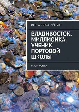 Ирина Мутовчийская Владивосток. Миллионка. Ученик Портовой школы. Миллионка обложка книги