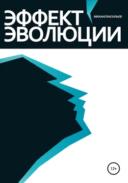 Михаил Васильев Эффект эволюции обложка книги