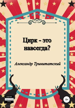 Александр Тринитатский Цирк – это навсегда? обложка книги