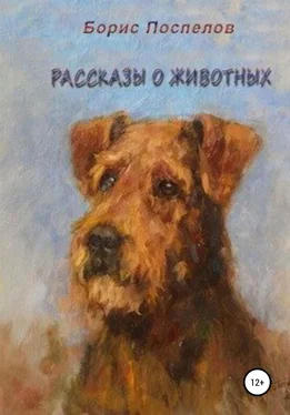 Борис Поспелов Рассказы о животных обложка книги