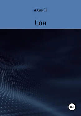 Алек Н Сон обложка книги