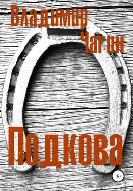 Владимир Чагин Подкова обложка книги