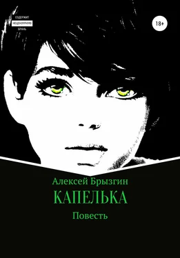 Алексей Брызгин Капелька обложка книги