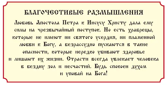 История 28 О жене хананейской Евангелие от Матфея гл 15 Когда Иисус Христос - фото 269