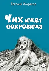 Евгений Хохряков - Чих ищет сокровища