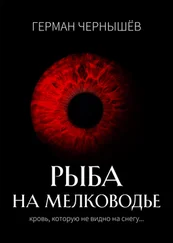 Герман Чернышёв - Безумие Таргерта. Книга 1. Рыба на мелководье