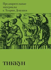 Тиккун - Предварительные материалы к Теории Девушки