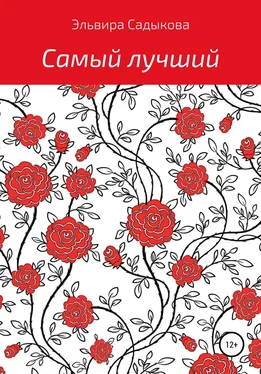 Эльвира Садыкова Самый лучший обложка книги