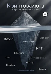 Сколомир Чиктысов - Криптовалюта. С нуля до эксперта за 1 час