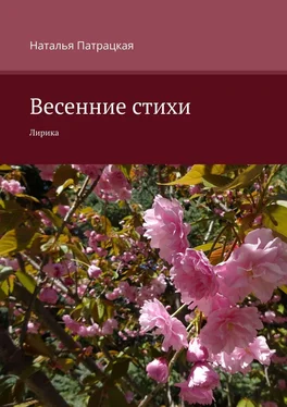 Наталья Патрацкая Весенние стихи. Лирика обложка книги