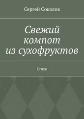 Сергей Соколов - Свежий компот из сухофруктов. Стихи