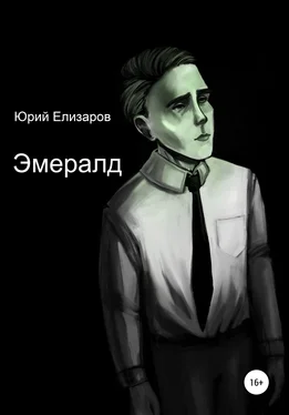 Юрий Елизаров Эмералд обложка книги