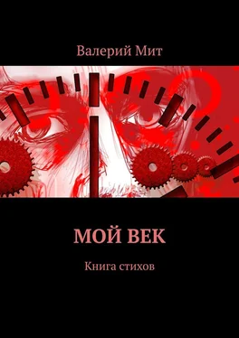 Валерий Мит Мой век. Книга стихов