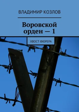 Владимир Козлов Воровской орден – 1. Хвост фюрера