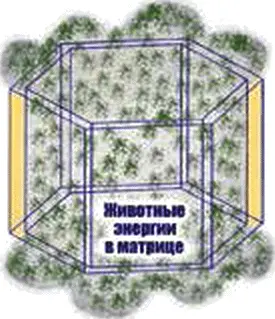 Puc520 Матрица животных энергий Если вы сознательно пришли к - фото 20