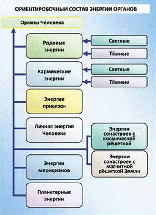 Рис 343 Ориентировочный состав энергий органов Человека Если же Человек - фото 77