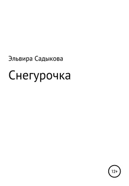 Эльвира Садыкова Снегурочка обложка книги