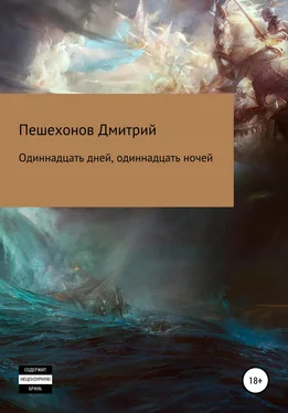Дмитрий Пешехонов Одиннадцать дней, одиннадцать ночей обложка книги