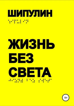 Валерий Шипулин Жизнь без света обложка книги