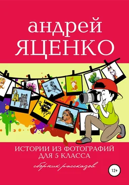 Андрей Яценко Истории из фотографий для 5 класса обложка книги