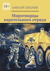 Алексей Соколов - Миротворцы карательного отряда