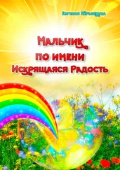 Евгения Пёрышкина - Мальчик по имени Искрящаяся Радость. Необычная история любви