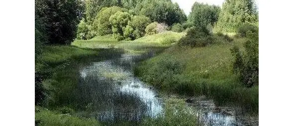 Река Сить Молога Люди отягощенные великими грехами дабы совершить в ней - фото 34