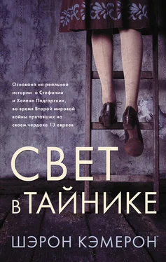 Шэрон Кэмерон Свет в тайнике обложка книги