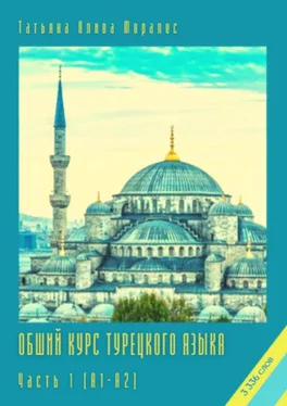 Татьяна Олива Моралес Общий курс турецкого языка. Часть 1 (А1–А2) обложка книги