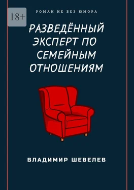 Владимир Шевелев Разведённый эксперт по семейным отношениям. Роман не без юмора обложка книги