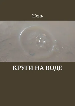 Жень Круги на воде обложка книги