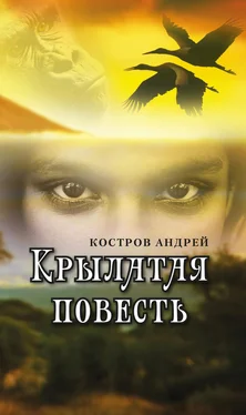 Андрей Костров Крылатая повесть обложка книги
