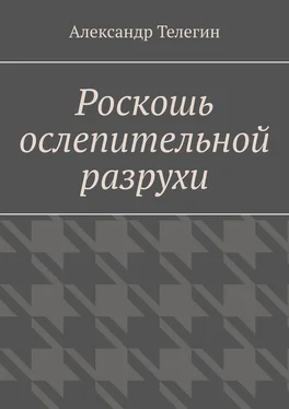 Александр Телегин Роскошь ослепительной разрухи обложка книги