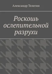 Александр Телегин - Роскошь ослепительной разрухи