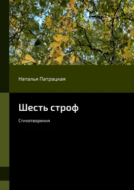 Наталья Патрацкая Шесть строф. Стихотворения обложка книги