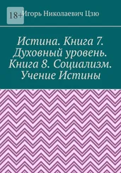 Игорь Цзю - Истина. Книга 7. Духовный уровень. Книга 8. Социализм. Учение Истины. Поурочные планы для 7, 8 классов общеобразовательной школы